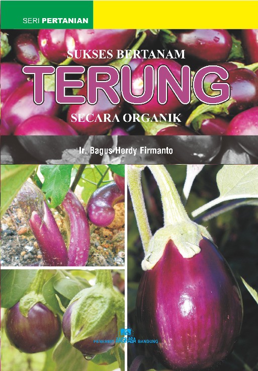 Sukses Bertanam Terung Secara Organik